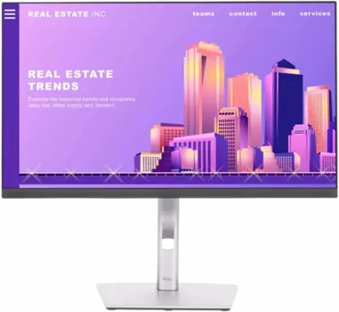 Монитор 23.8" DELL P2422H IPS, 1920x1080 (16:9), 250кд/м2, 5 мс, 178°/178°, VGA, HDMI, DisplayPort, USB-Hub, черный (P2422H)