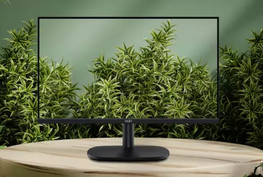 Монитор 23.8" MSI Pro MP245V VA, 1920x1080 (16:9), 300кд/м2, 100 Гц, 1 мс, 178°/178°, VGA, HDMI, черный (9S6-3PC0CM-014)