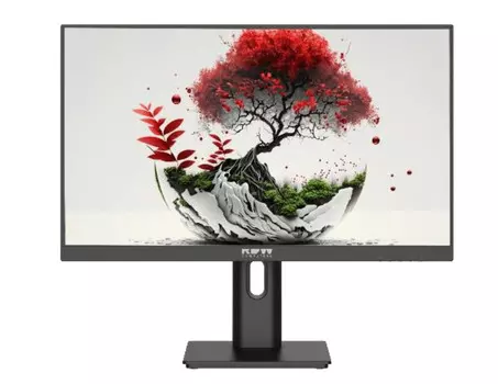 Монитор 23.8" RDW RDW2401K IPS, 1920x1080 (16:9), 250кд/м2, 100 Гц, 5 мс, 178°/178°, VGA, HDMI, DisplayPort, USB-Hub, черный (RDW2401K/F08В3100V2A1) Внесен в реестр Минпромторга РФ