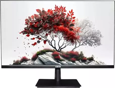 Монитор 27" RDW RDW2701K IPS, 1920x1080 (16:9), 300кд/м2, 100 Гц, 5 мс, 178°/178°, VGA, HDMI, DisplayPort, черный (RDW2701K/F00В3100V2A1) Внесен в реестр Минпромторга РФ