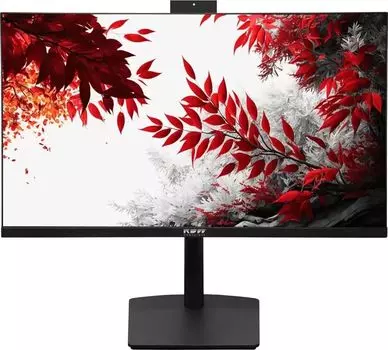 Монитор 27" RDW RDW2702K IPS, 2560x1440 (16:9), 350кд/м2, 100 Гц, 1 мс, 178°/178°, HDMI, DisplayPort, USB Type-C, USB-Hub, веб-камера, черный (RDW2702K/Q19В3100V2A1)