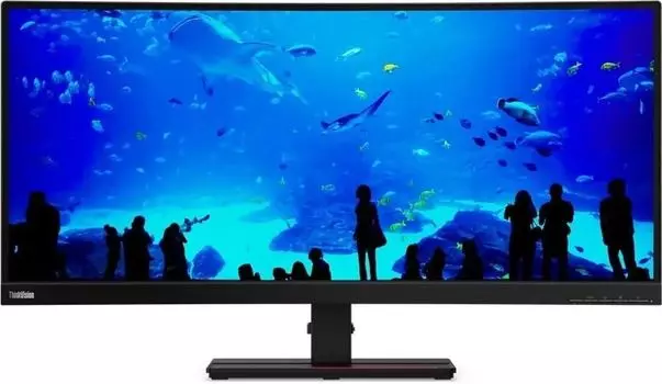 Монитор 34" Lenovo ThinkVision P34w-20 IPS, изогнутый, 3440x1440 (21:9), 300кд/м2, 6 мс, 178°/178°, HDMI, DisplayPort, USB Type-C, USB-Hub, черный (63F2RAT3UK)
