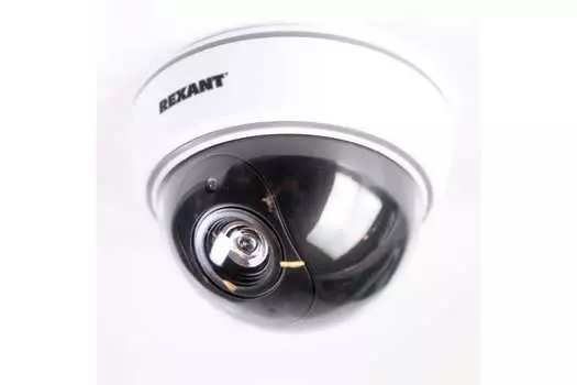 Муляж камеры видеонаблюдения REXANT 45-0210, купольная, LED, 2xAA, белый