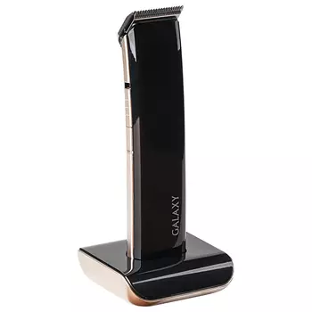 Набор для стрижки Galaxy GL 4160, режимов 1, насадок 4, черный (гл4160черн)