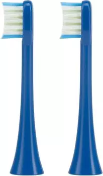 Набор насадок Polaris TBH 0105 M (2) для Polaris, синий, 2 шт. (tbh 0105 m (2) синий)