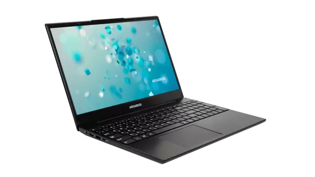 Ноутбук Aquarius Cmp NS685U R11 (Исп.3) 15.6" IPS 1920x1080, Intel Core i5 10210U 1.6 ГГц, 8Gb RAM, 256Gb SSD, без OC, черный (QRCN-NS685U1M1618H125L90NB6NNAN2) Внесен в реестр Минпромторга РФ