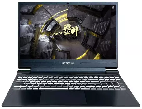 Ноутбук Hasee S8 D63654FH 15.6" IPS 1920x1080, Intel Core i7 13620H 2.4 ГГц, 16Gb RAM, 512Gb SSD, NVIDIA GeForce RTX 4060-8Gb, без OC, черный (04HAS8D63654FH)