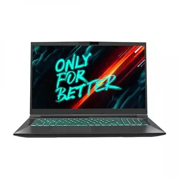 Ноутбук Maibenben X668 17.3" IPS 2560x1440, Intel Core i7 12700H 2.3 ГГц, 16Gb RAM, 512Gb SSD, NVIDIA GeForce RTX 3070-8Gb, Linux, черный (X668QSFELBRE0)