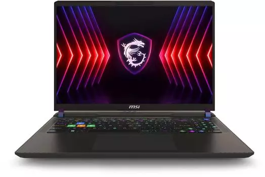 Ноутбук MSI Vector 16 HX A14VHG-831XRU 16" IPS 2560x1600, Intel Core i9 14900HX 2.2 ГГц, 16Gb RAM, 1Tb SSD, NVIDIA GeForce RTX 4080-12Gb, без OC, серый (9S7-15M142-831)