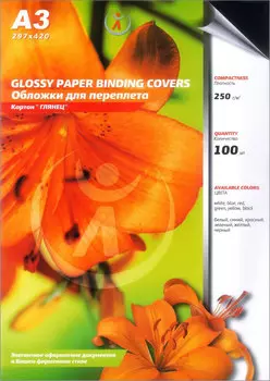 Обложки для переплета A3, картон, 250г/м, 100шт., черные, глянцевые, Реалист (5413)
