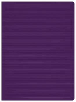 Папка БЮРОКРАТ пластик, черничный (DLV20BBERRY)