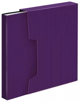 Папка БЮРОКРАТ пластик, черничный (DLVBOX100BBERRY)