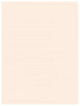 Папка БЮРОКРАТ пластик, молочный (DLV10MILK)