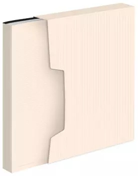 Папка БЮРОКРАТ пластик, молочный (DLVBOX100MILK)