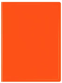 Папка БЮРОКРАТ пластик, оранжевый (DNE07V20OR)