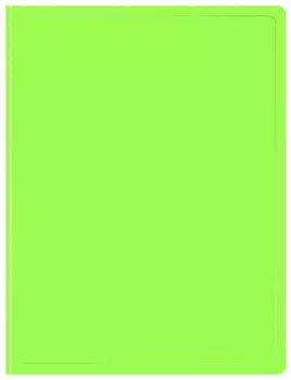 Папка БЮРОКРАТ пластик, салатовый (DNE07V20LETT)