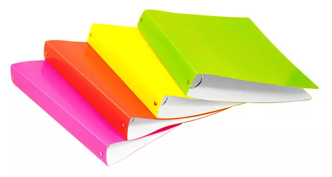 Папка панорама на кольцах БЮРОКРАТ пластик, 40, оранжевый (DNE0740/4ROR)