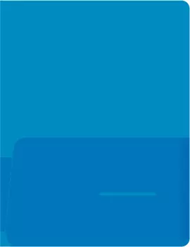 Папка-уголок БЮРОКРАТ пластик (-E570BLU)