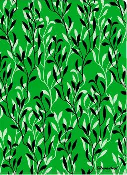 Папка-уголок SILWERHOF пластик (255177)