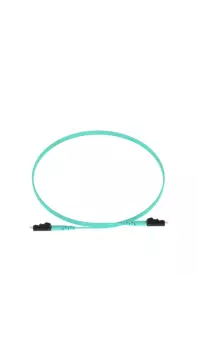 Патч-корд оптический Panduit , LC, многомодовый, 50/125, OM4, двойной, 1м, аквамарин ( FZ2ELLNLNSNM001)