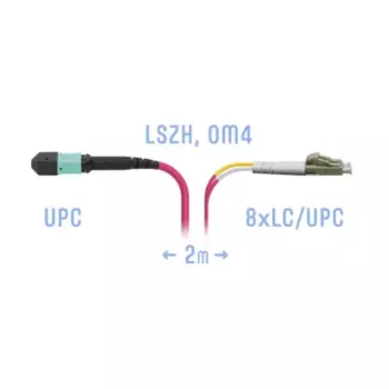 Патч-корд оптический SNR, MPO/UPC-8xLC/UPC, многомодовый, 50/125, OM3, двойной, 2м, пурпурный (SNR-PC-MPO/UPC-8LC/UPC-DPX-MM-2m)