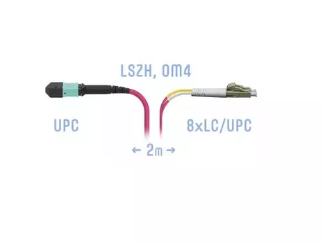Патч-корд оптический SNR SNR-PC-MPO/UPC-8LC/UPC-DPX-MM4-2m, MPO/UPC-8xLC/UPC, 50/125, OM4, 8 волокон, 2м, бирюзовый (SNR-PC-MPO/UPC-8LC/UPC-DPX-MM4-2m)