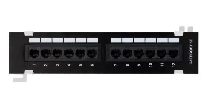Патч-панель настенная 1U, порты: 12 x RJ-45 кат. 5e, черный, _EC-UWP-12-UD2_SL002, NETLAN (_EC-UWP-12-UD2_SL002)