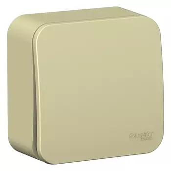 Переключатель Schneider Electric Blanca, 1кл., открытый монтаж, в сборе, бежевый (BLNVA106017)