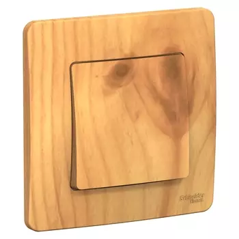 Переключатель Schneider Electric BLANCA, 1кл., скрытый монтаж, механизм с накладкой без рамки, ясень (BLNVS010605)