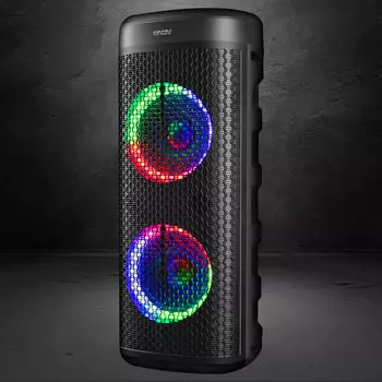 Портативная акустика 2.0 Ginzzu GM-222, 50 Вт, FM, AUX, USB, microSD, Bluetooth, подсветка, черный (4894211006175)
