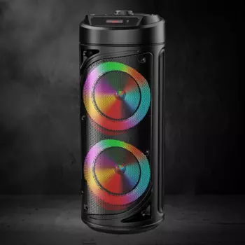 Портативная акустика 2.0 Ginzzu GM-229, 30 Вт, FM, AUX, USB, microSD, Bluetooth, подсветка, черный (GM-229)