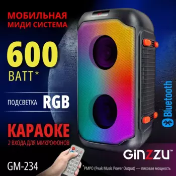 Портативная акустика 2.0 Ginzzu GM-234, 600 Вт, FM, AUX, USB, microSD, Bluetooth, подсветка, черный (GM-234)