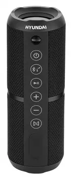 Портативная акустика Hyundai H-PAC320, 20W, FM, microSD, Bluetooth, черный (H-PAC320)