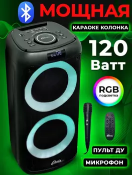 Портативная акустика Ritmix SP-875B , 120 Вт, FM, AUX, USB, microSD, Bluetooth, подсветка, черный (SP-875B )
