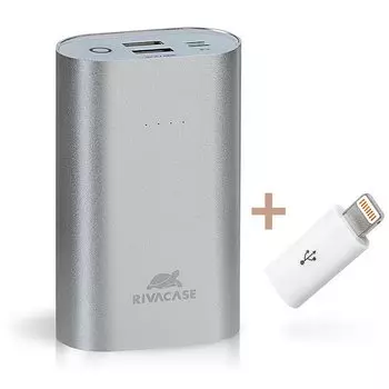 Портативный аккумулятор (Powerbank) RivaCase Rivapower VA1010, 10000mAh, 2xUSB, 2A, серебристый