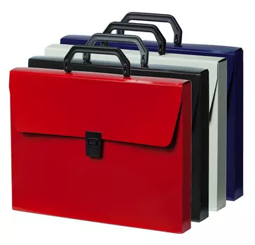 Портфель БЮРОКРАТ пластик, черничный (DLPP01BBERRY)