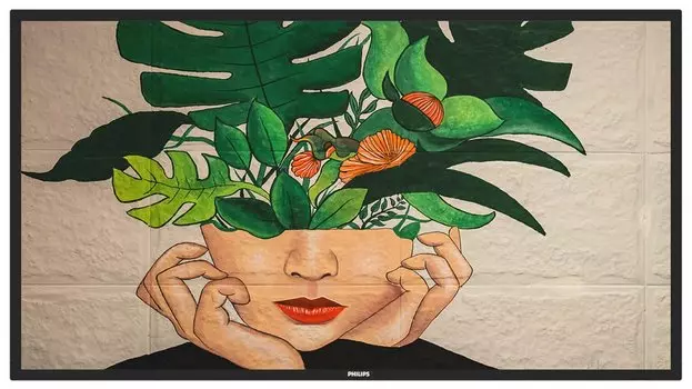 Профессиональный дисплей 50" Philips 50BDL4511D , 4K, 3840x2160, 500кд/м2, Rj-45, HDMI, DVI, DisplayPort, USB, черный (50BDL4511D )