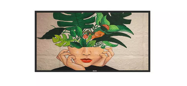 Профессиональный дисплей 55" Philips 55BDL4511D/00, VA, 4K, 3840x2160, 500кд/м2, 8 мс, Rj-45, HDMI, DVI, DisplayPort, USB, черный