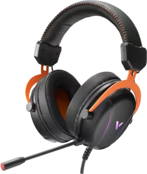 Проводная гарнитура RAPOO VH350S, USB, черный (VH350S)