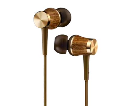 Проводные наушники JVC HA-FW7, Jack 3.5mm, золотистый (HA-FW7-T-F)