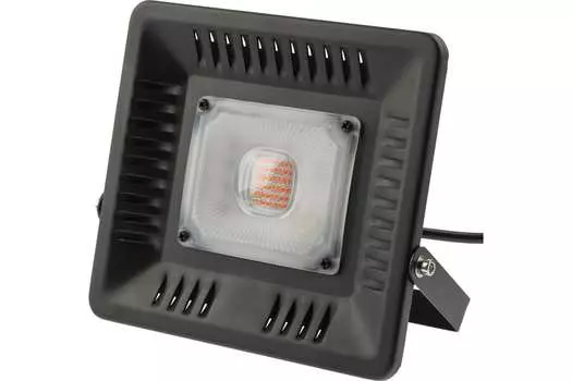 Прожектор светодиодный Эра FITO-50W-LED BLUERED, 50Вт, 1370, IP65, черный (Б0039033)