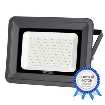 Прожектор светодиодный WOLTA WFL-100W/06, 100Вт, 9000лм, 5700, IP65, серый