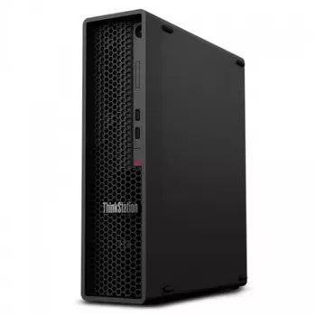 Рабочая станция Lenovo Workstation TS P340, Intel Core i7 10700, 16Gb RAM, 256Gb SSD+1Tb HDD, NVIDIA Quadro P1000 4Gb, W10Pro, черный (30DJS79000)