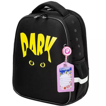 Ранец Brauberg FIT Dark cat, анатомическая, вентилируемая, формоустойчивая спинка, 2 отделения, черный (272026)