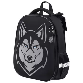 Ранец Brauberg SHINY Husky, анатомическая, вентилируемая, формоустойчивая спинка, 2 отделения, черный (271383)