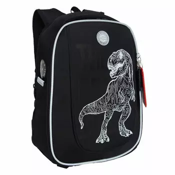 Ранец GRIZZLY RAF T-rex, анатомическая, вентилируемая спинка, 2 отделения, черный (RAf-493-2/1)