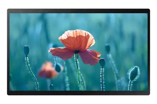 Рекламный дисплей 23" Samsung QB24R, FullHD, 1920x1080, 250кд/м2, 14 мс, Rj-45, HDMI, USB, черный (QB24R)