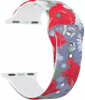 Ремешок Lyambda Alya для Apple Watch 38/40 mm, мультиколор (DS-APF06-44-12)
