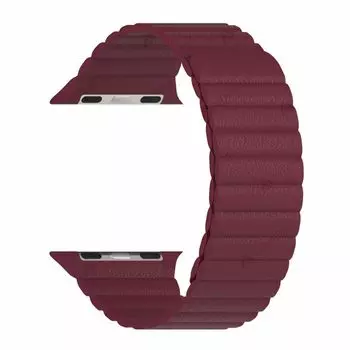 Ремешок Lyambda Pollux для Apple Watch, 38-40 мм, кожаный, бордовый (DSP-24-40-WR)