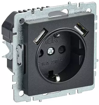 Розетка IEK BR-R14-16-U21-D31-K02, скрытый монтаж, однопостовая/модулей: 1, с з/к, со шторками, 16А, в сборе, IP20, 2xUSB, черный (BR-R14-16-U21-D31-K02)